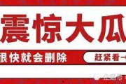 娱乐吃瓜八卦图片大全,吃瓜图鉴，一网打尽明星八卦瞬间